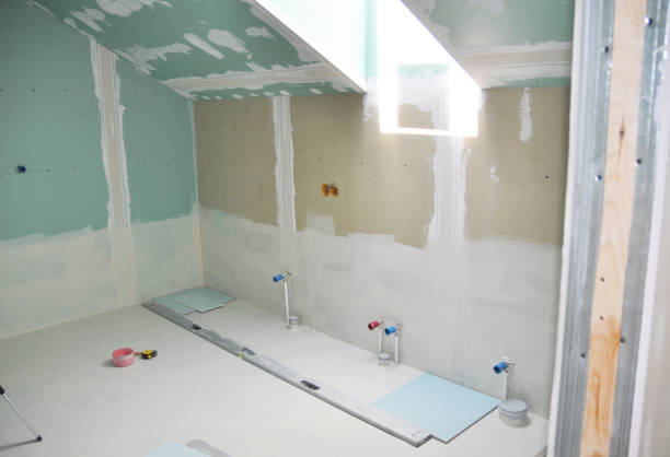 Best Mold Damage Restoration  in West Fargo, ND