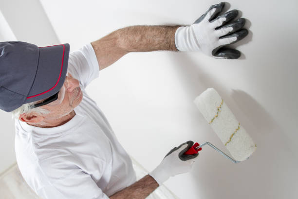 Best Post-Construction Mold Inspection  in West Fargo, ND