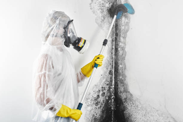 Best Mold Prevention Services  in West Fargo, ND