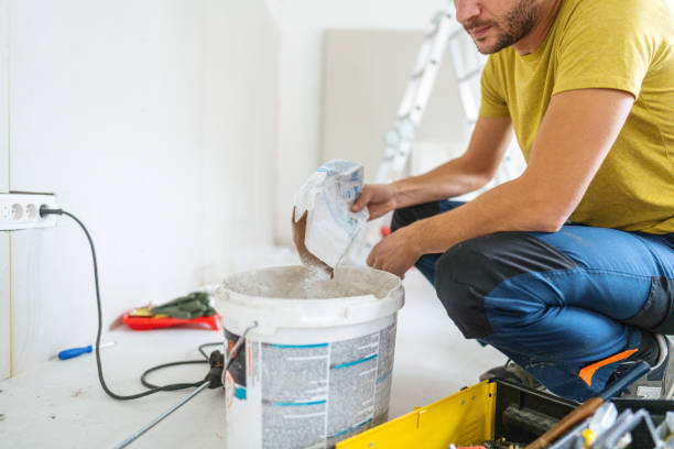 Best Attic Mold Removal  in West Fargo, ND