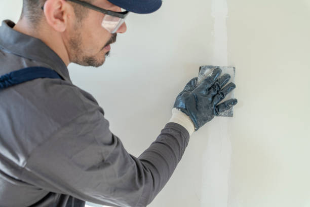 Reliable West Fargo, ND Mold Removal Solutions