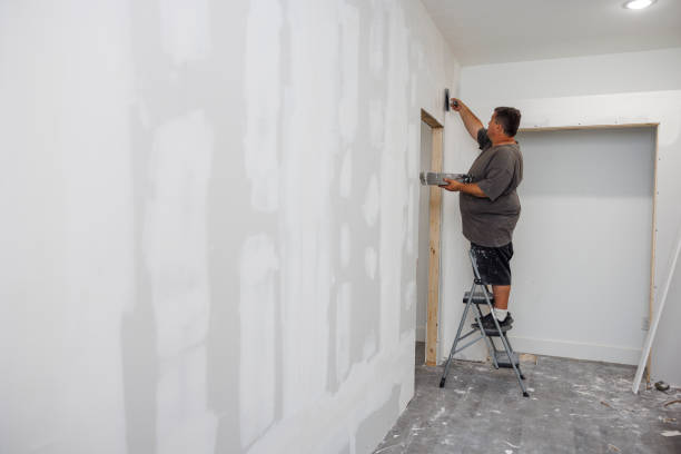 Best Real Estate Mold Inspection  in West Fargo, ND