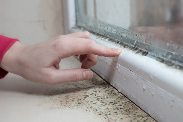 Best Forensic Mold Investigation  in West Fargo, ND