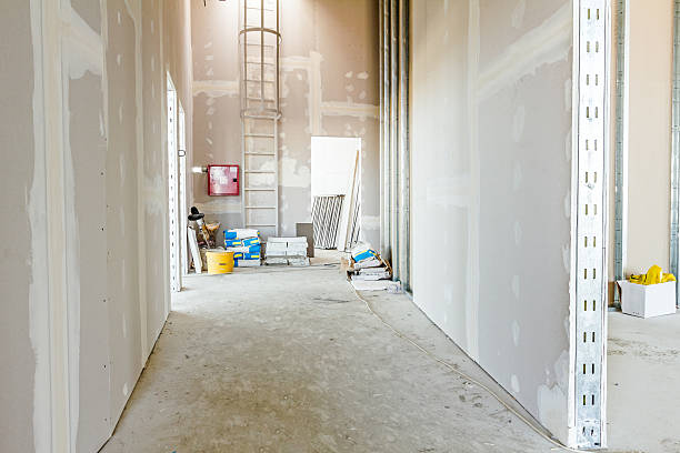 Best Biohazard Mold Removal  in West Fargo, ND